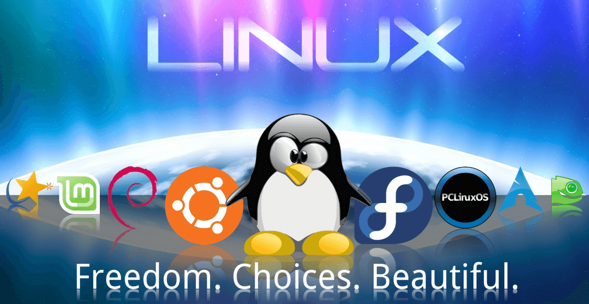 Apakah Penggunaan Sistem Operasi Linux Baik Untuk Bisnis?